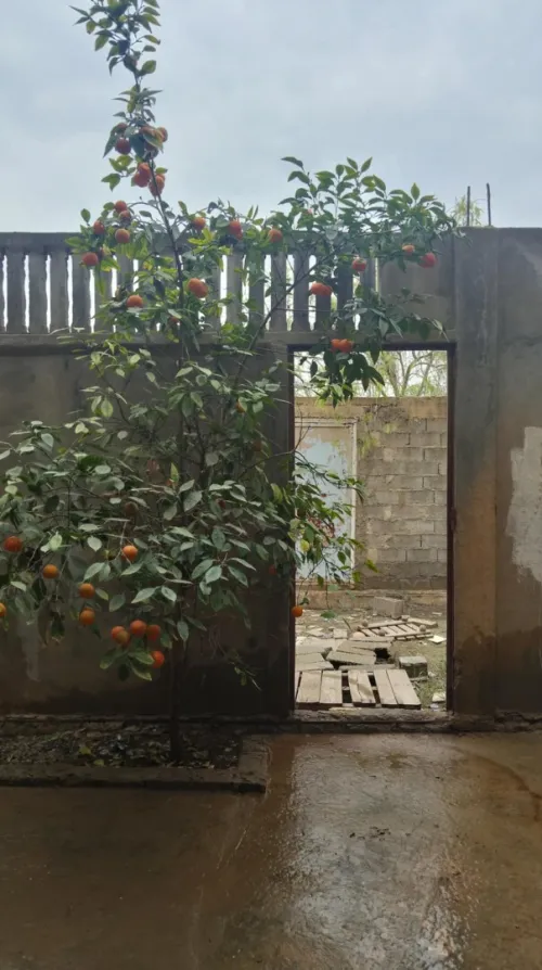 Vente Villa Oran Es senia