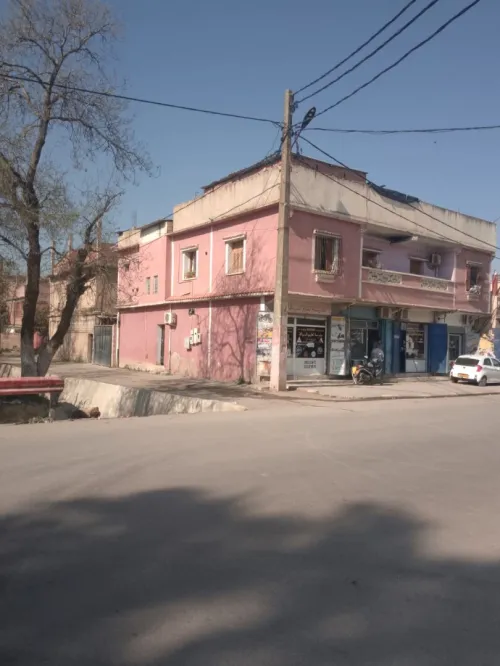 Vente Villa Blida Ouled el alleug