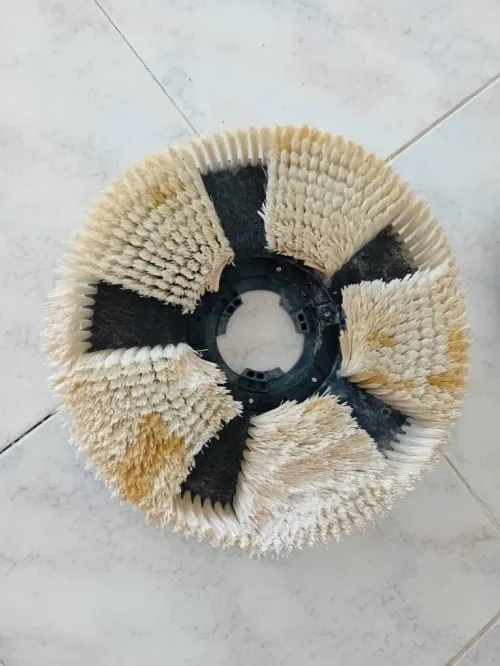 Brosse de monobrosse pour moquette...