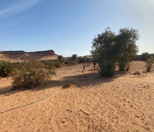 Vente Terrain Timimoun Ouled Said