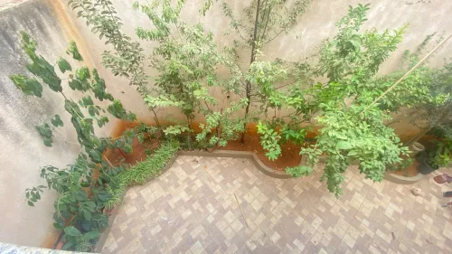 Location Villa Alger Saoula