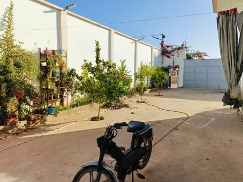 Vente Local Tlemcen Nedroma