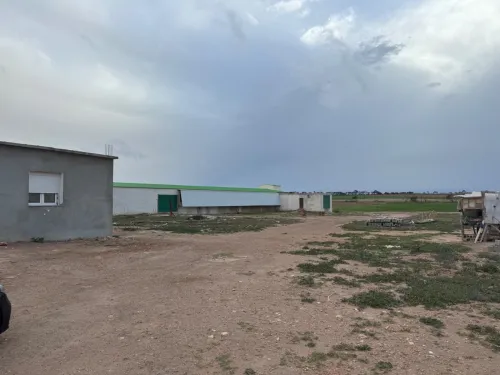 Vente Terrain Agricole Aïn Témouchent Bou zedjar