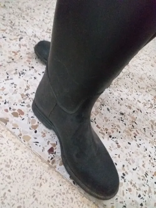 Vêtement équipement d'équitation
