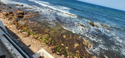 Location vacances Villa Tipaza Tipaza