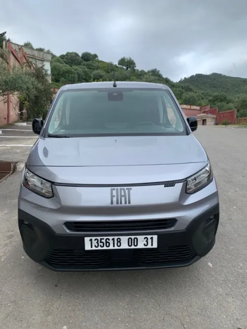 Fiat Doblo Van 2024 