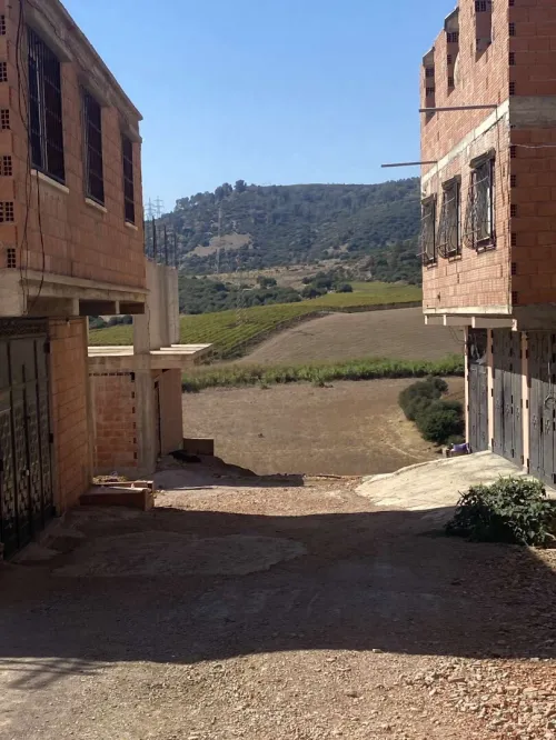 Vente Terrain Boumerdès Leghata