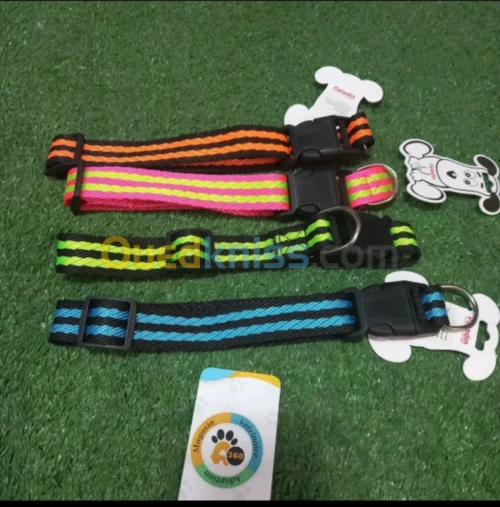 Collier pour chien طوق للكلاب قابل للتعديل