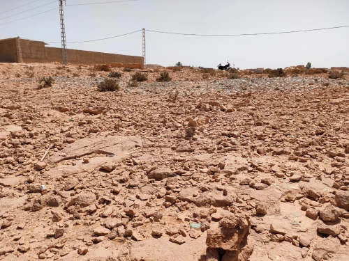 Vente Terrain Ghardaia Ghardaia