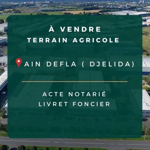 Vente Terrain Agricole Aïn Defla Djelida