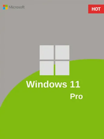 Windows 10/11 Pro A Vie