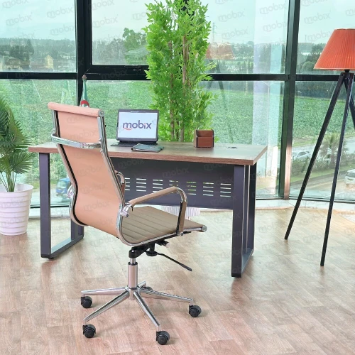 Chaise bureau NOBLE fauteuil PDG beige de la marque Mobix dz