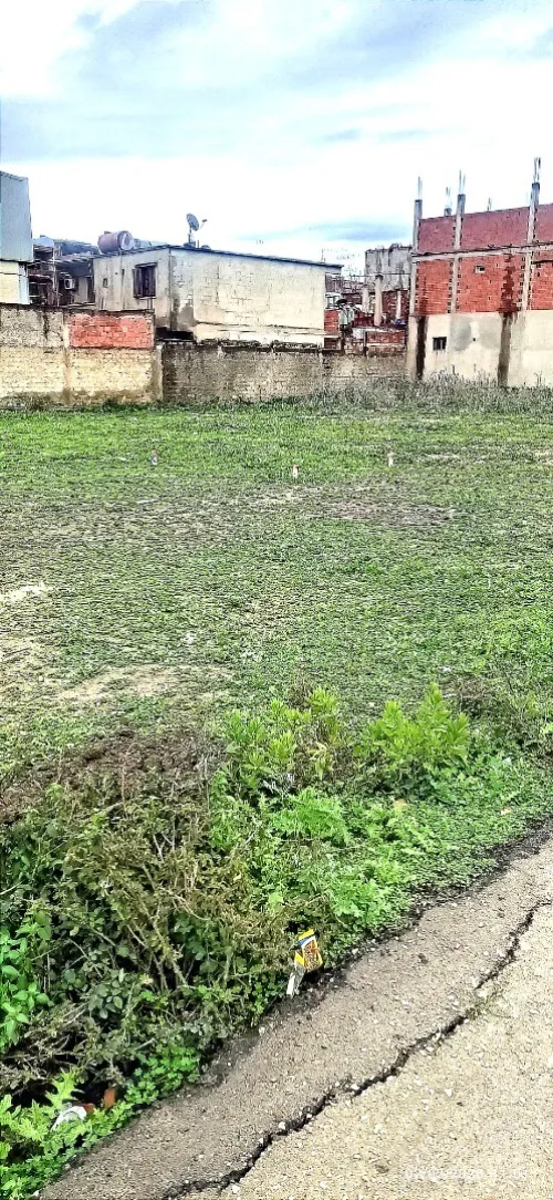 Vente Terrain Blida Boufarik