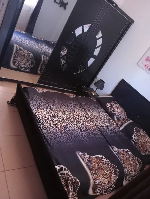 Location Appartement Oran Oran