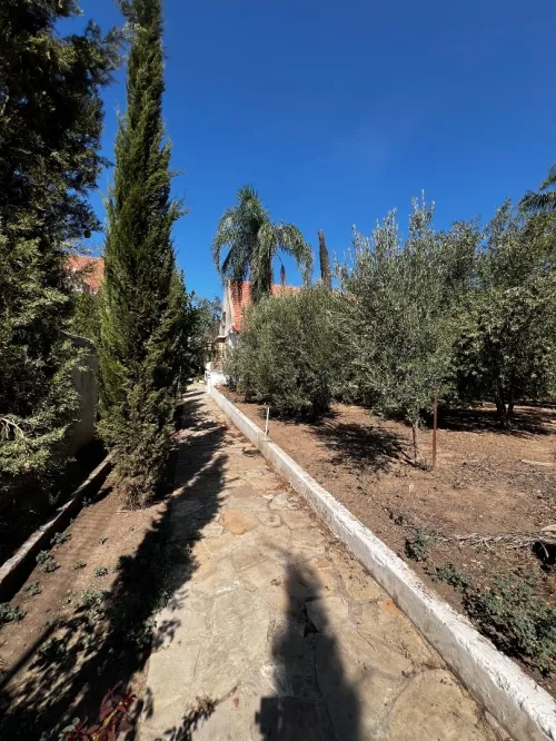 Vente Villa Blida Beni mered