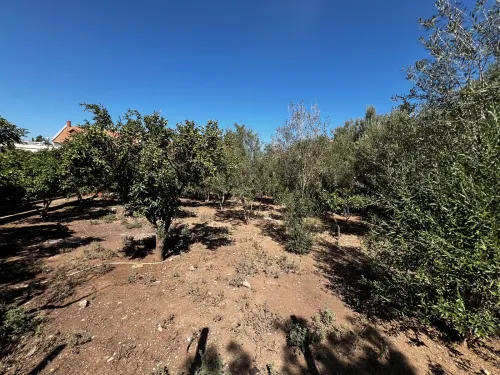 Vente Villa Blida Beni mered