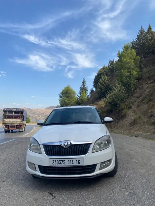 Skoda Fabia 2014 Fresh