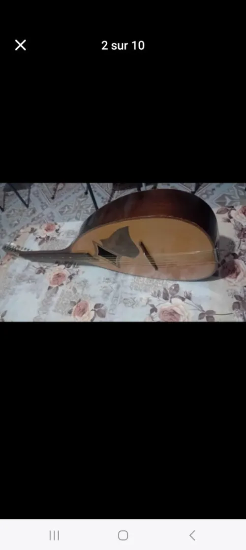 Mandole à vendre 