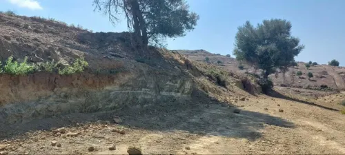Vente Terrain Jijel El aouana