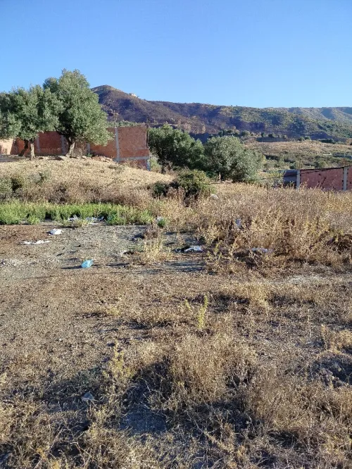 Vente Terrain Blida Djebara
