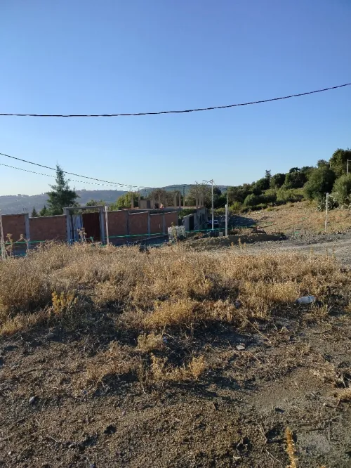 Vente Terrain Blida Djebara