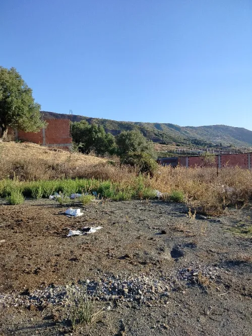 Vente Terrain Blida Djebara