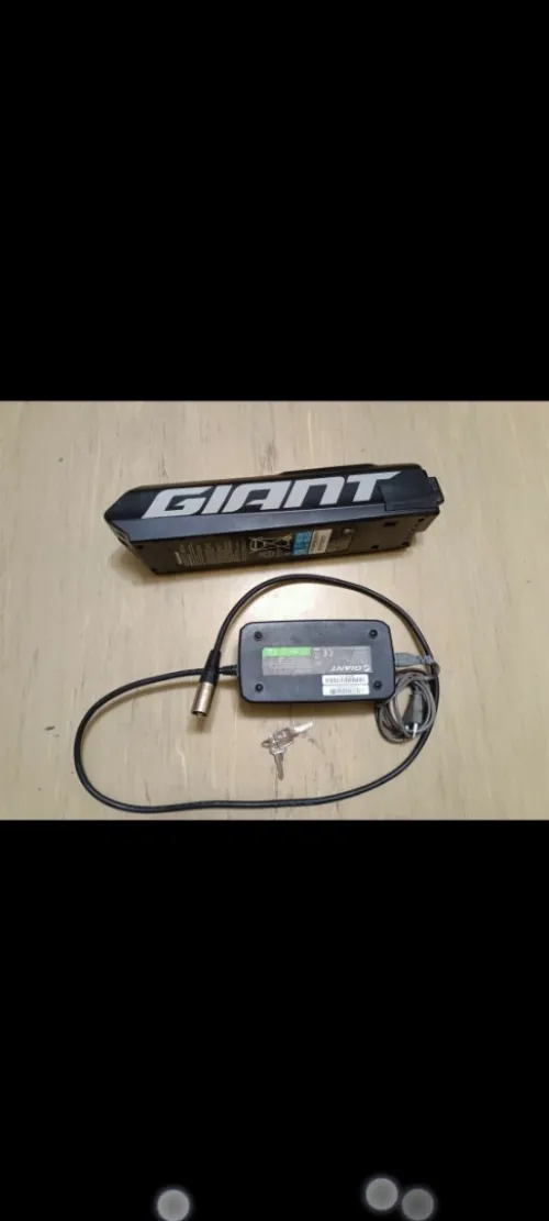 Vélo électrique française giant Talon E+2
