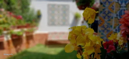 Vente Villa Tipaza Douaouda