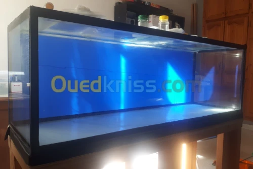 Aquarium 1m20