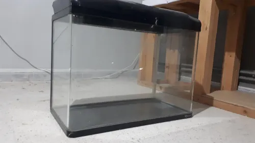 Aquarium importation 58cm