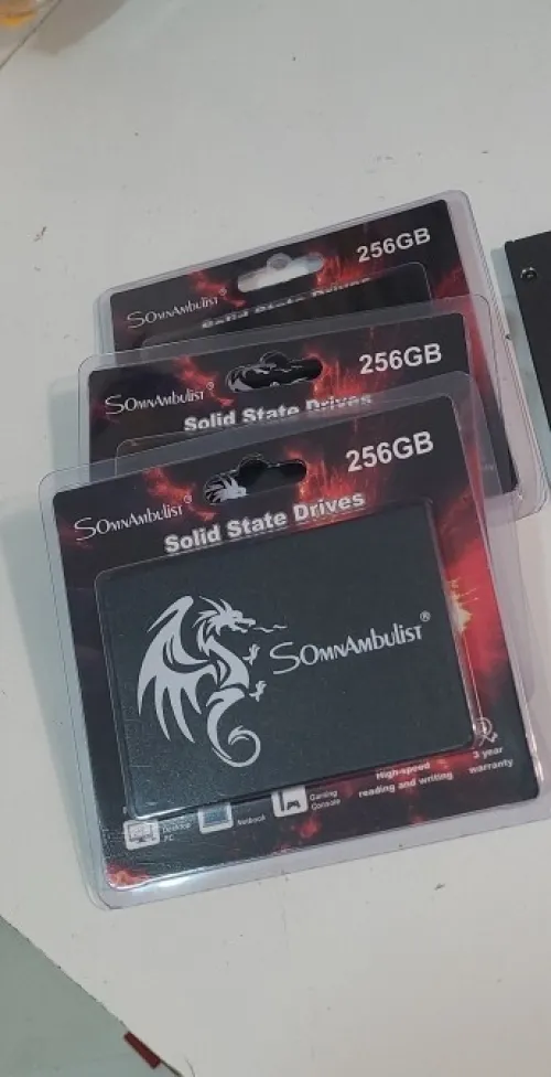 Disque SSD 256 Go