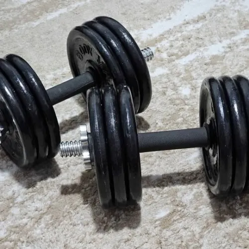 Barres (haltères) et Disques (24 kg)