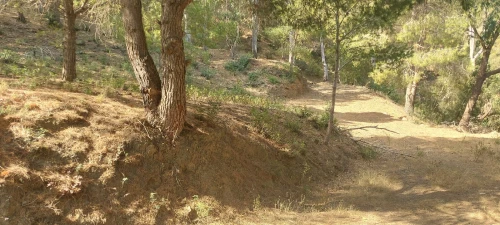 Vente Terrain Tipaza Tipaza