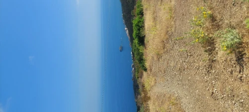 Vente Terrain Tipaza Tipaza