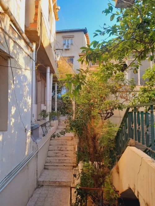 Vente Terrain Alger Bachdjerrah