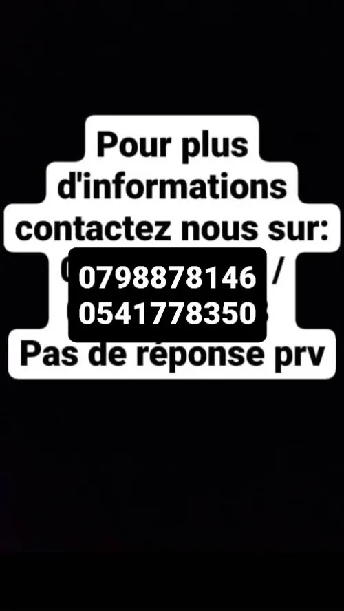 Location Appartement Studio Alger Bordj el kiffan