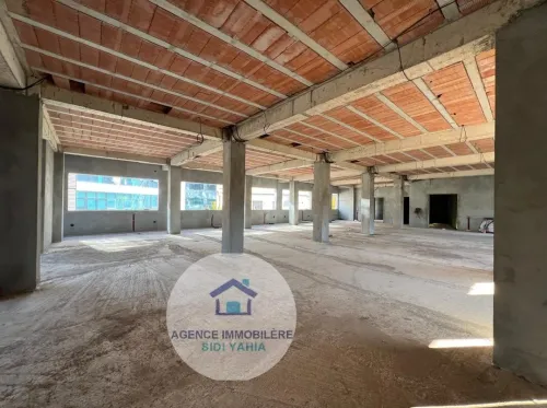 Location Immeuble Alger Cheraga