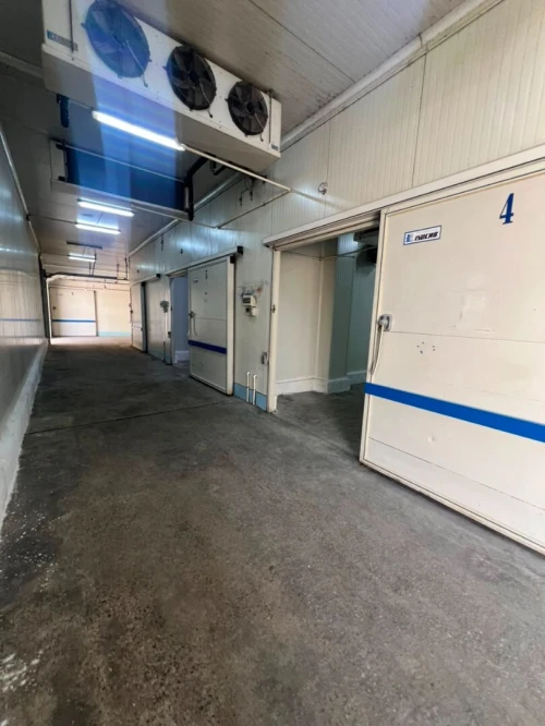 Location Hangar - Usine Alger Oued smar