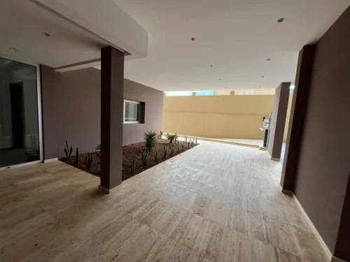 Location Appartement F3 Alger Dely brahim