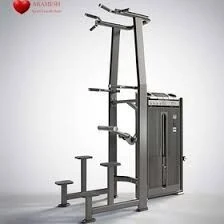 BarFixe BarParallèle Assisté  E7009 Dhz