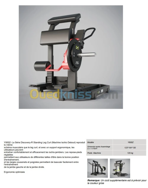 Leg Curl Y955