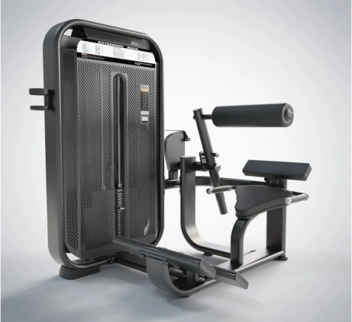 Back Extension (presse Lambert)
