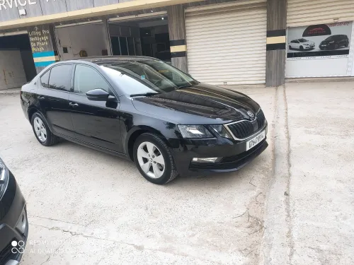 Skoda Octavia 2019 Bisnes