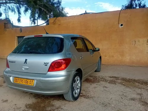 Peugeot 307 2006 Oxygo