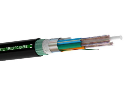 Cable Fibre Optique Monomode CATEL