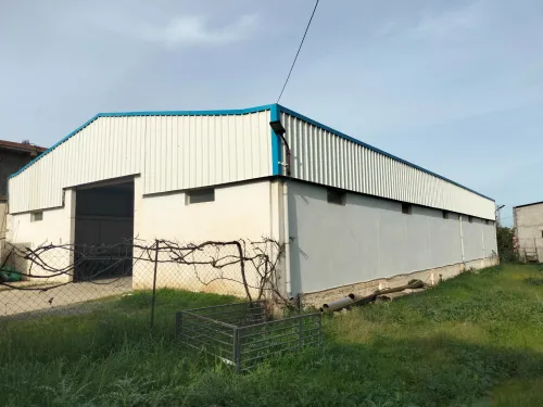Location Hangar - Usine Blida Ouled selama