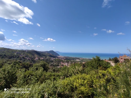Vente Terrain Béjaïa Aokas