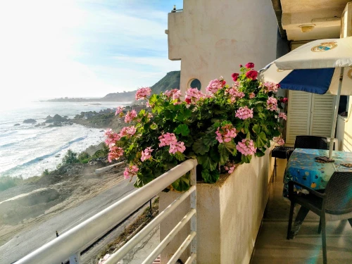 Location vacances Appartement F3 Béjaïa Bejaia