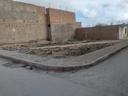 Vente Terrain Tébessa Bir el mokadem
