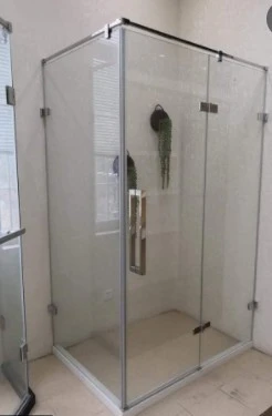Paroi de douche et façade en verre 